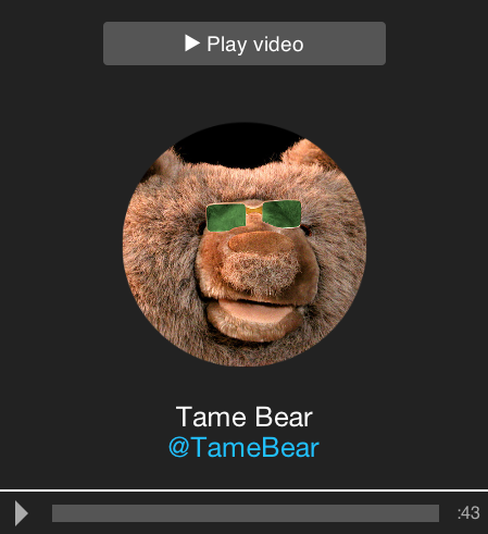 Movie: Tame Bear on Twitter
